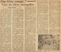 Artykuły prasowe – miniatura