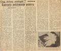 Artykuły prasowe – miniatura