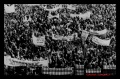 Pielgrzymka Świata Pracy - 1986 r. – miniatura 17